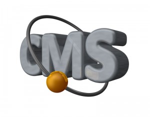 Was bedeutet der Begriff open source cms?